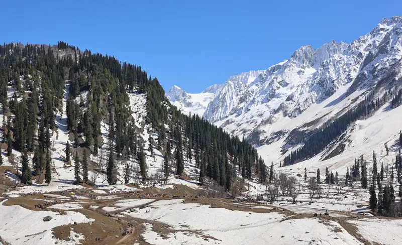 Sharp snow peaks above pine forest at Thajiwas, Sonamarg